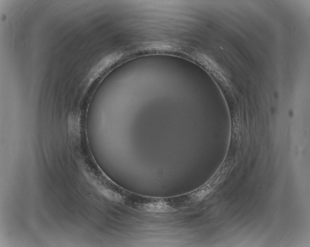 X0000086220112200703291222