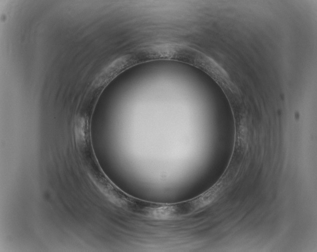 X0000086220122200703291222