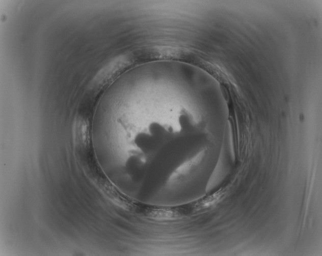 X0000086220123200703291222
