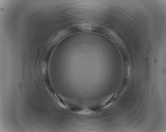 X0000086220125200703291222