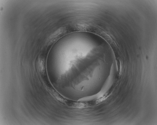 X0000086220131200703291221