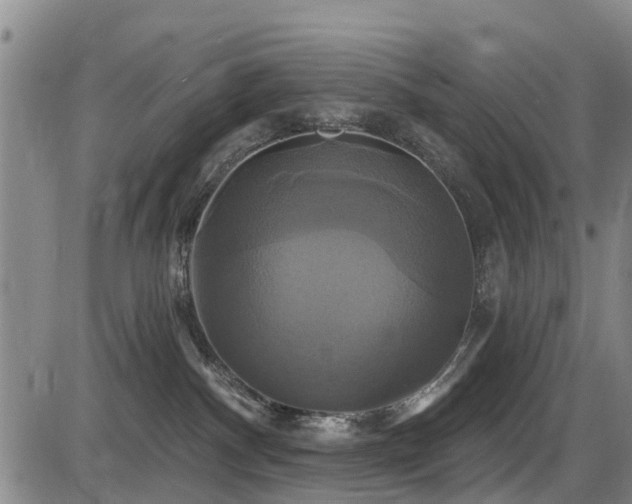 X0000086220140200703291221
