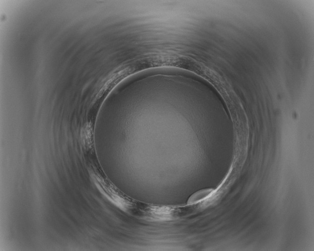 X0000086220144200703291221