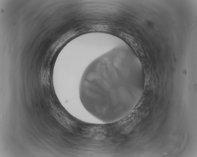 X0000086220146200703291220