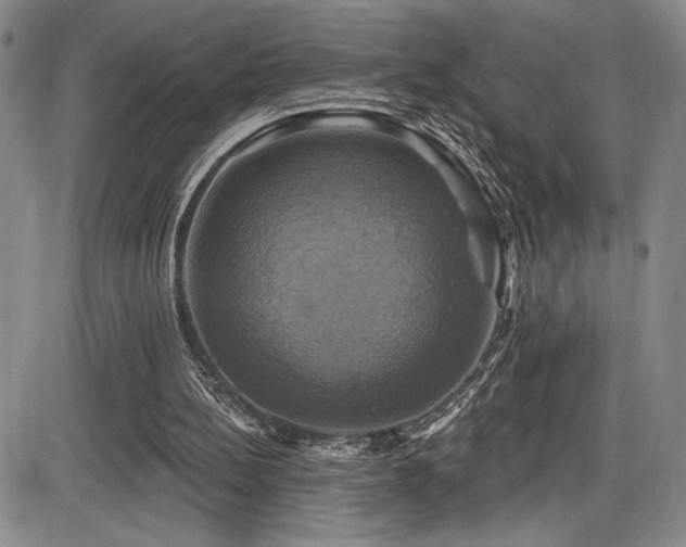 X0000086220148200703291220