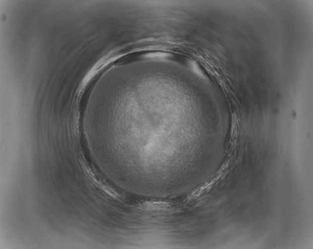 X0000086220150200703291221