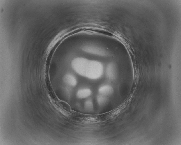 X0000086220151200703291221