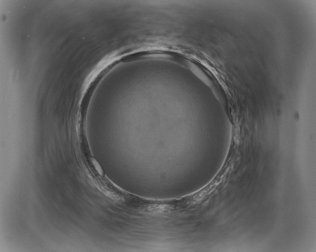 X0000086220152200703291221