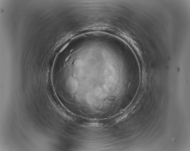 X0000086220153200703291221