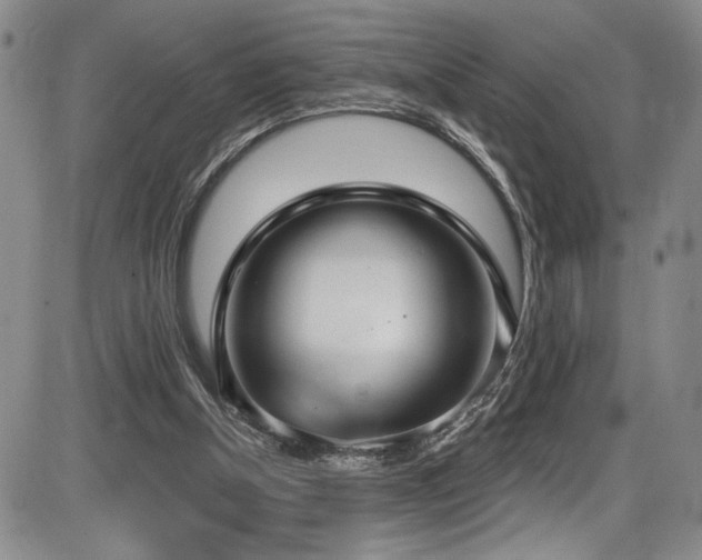 X0000086220154200703291221