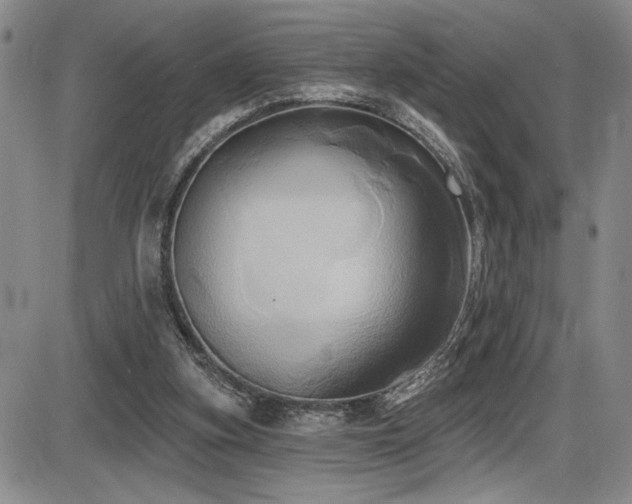 X0000086220155200703291221