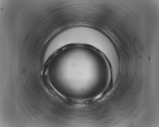 X0000086220158200703291221