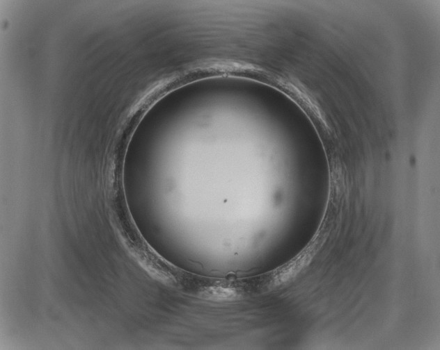 X0000086220159200703291221