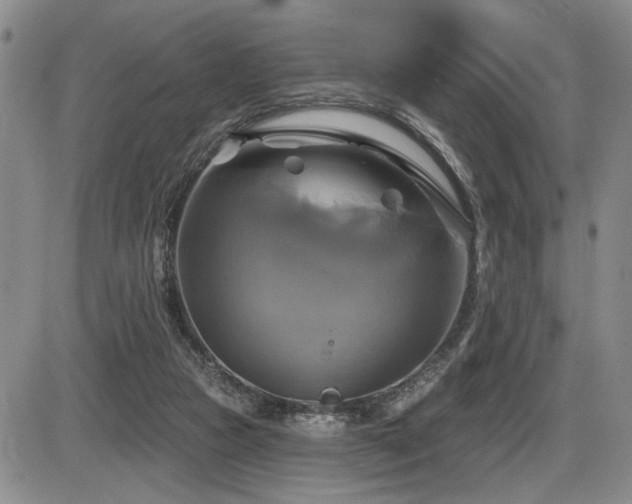 X0000086220161200703291221