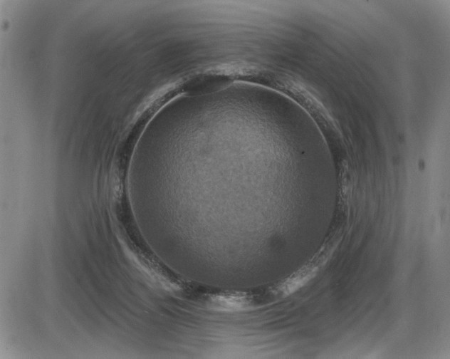 X0000086220164200703291221
