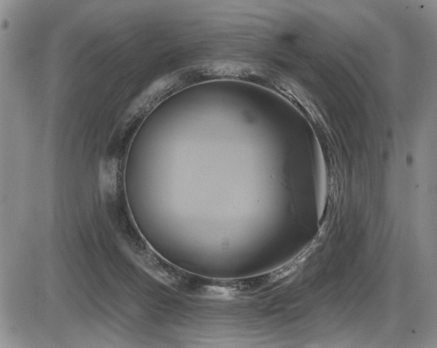X0000086220167200703291221