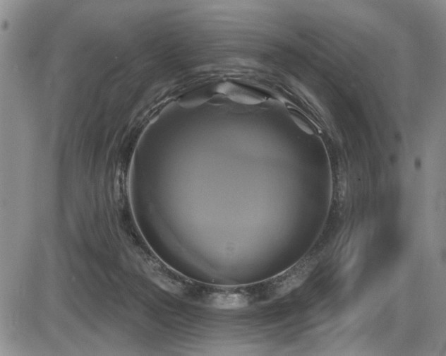 X0000086220169200703291221