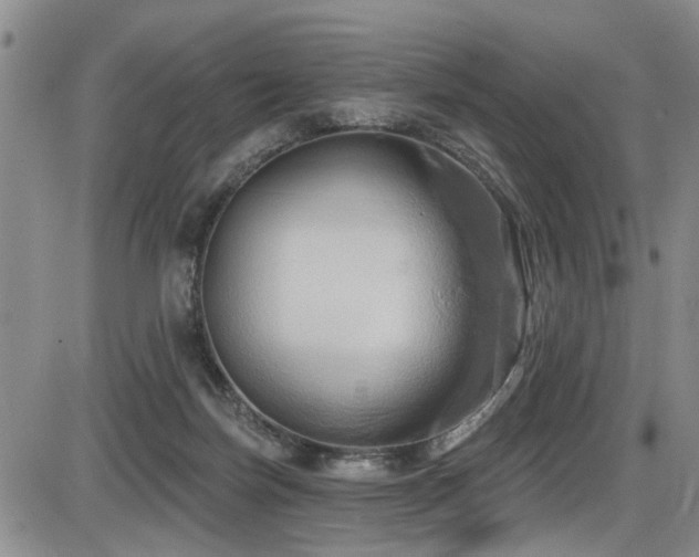X0000086220171200703291221