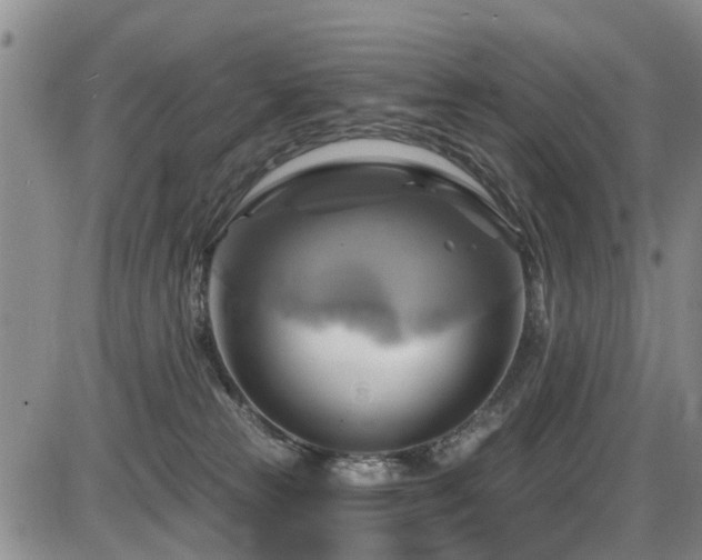 X0000086220181200703291221