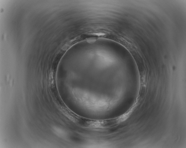 X0000086220182200703291221