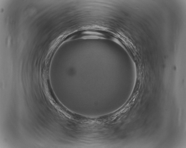 X0000086220193200703291220