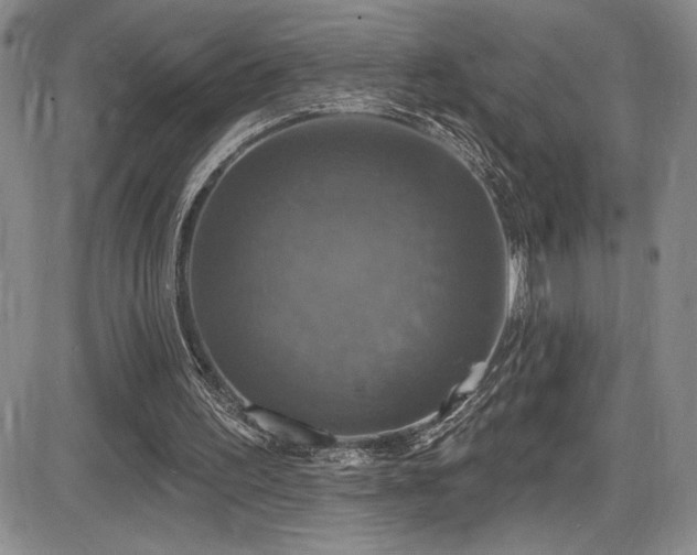 X0000086220195200703291220