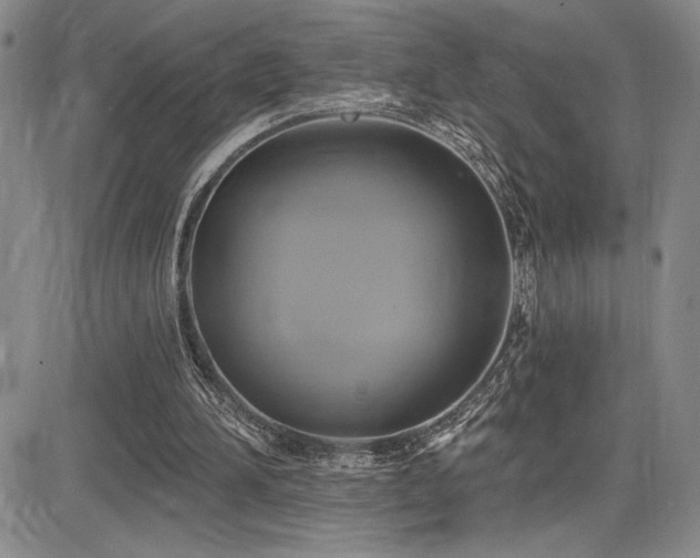 X0000086220196200703291220