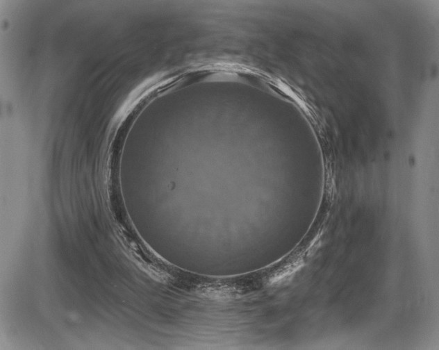 X0000086220199200703291220