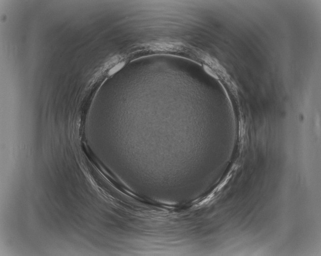 X0000086220201200703291220