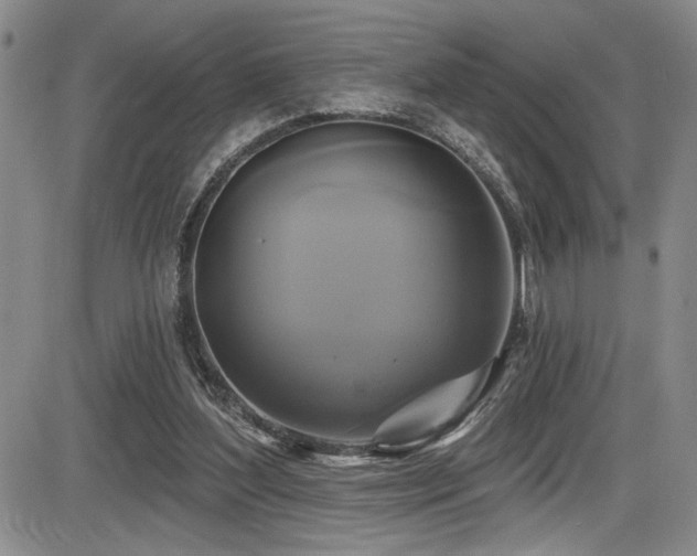 X0000086220204200703291220
