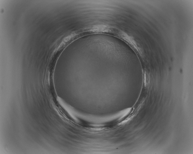 X0000086220205200703291220