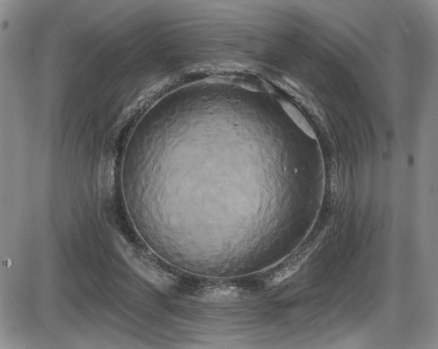 X0000086220206200703291220