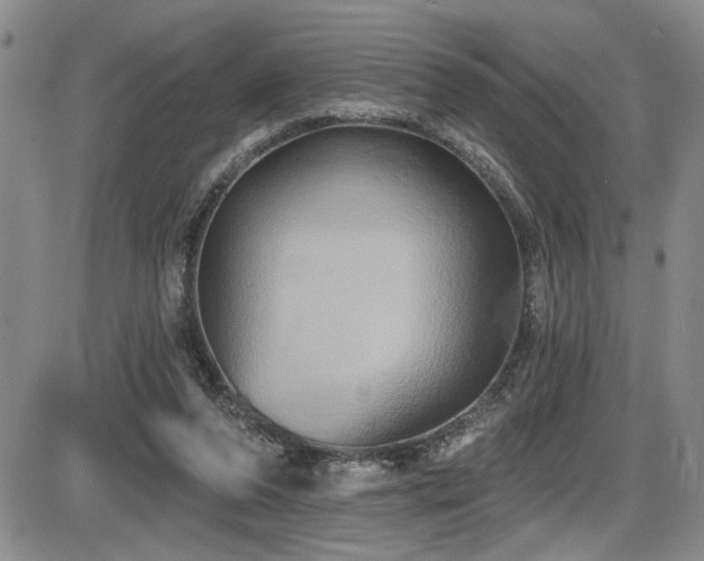 X0000086220208200703291220