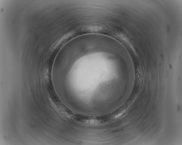 X0000086220212200703291220
