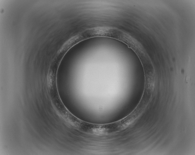 X0000086220216200703291220