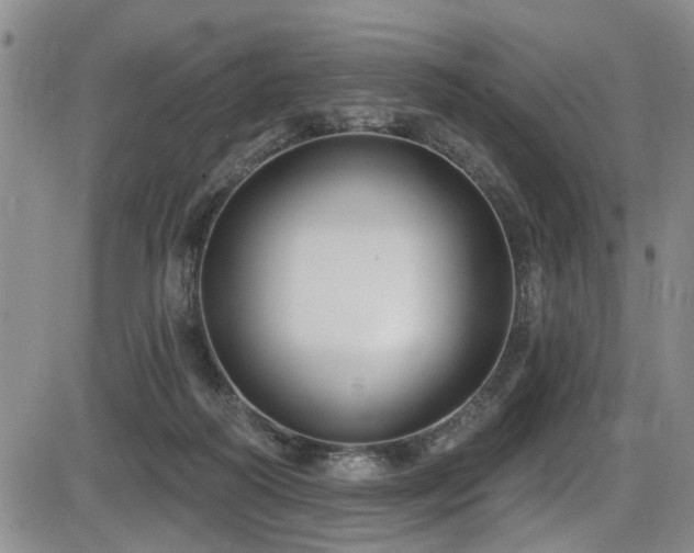 X0000086220218200703291220
