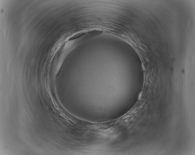 X0000086220241200703291219