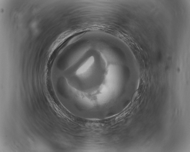 X0000086220242200703291219
