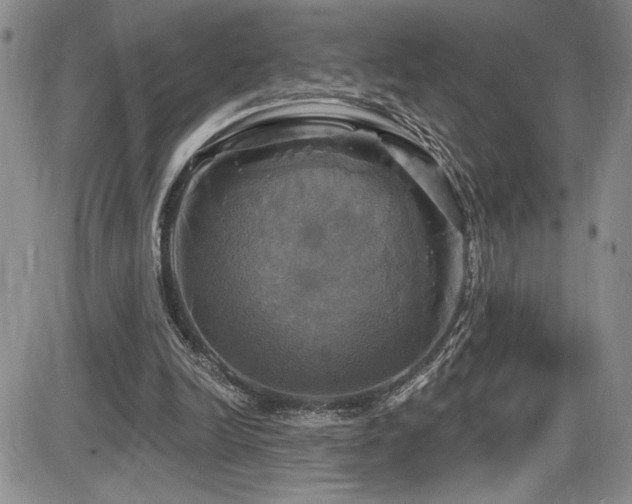 X0000086220246200703291219