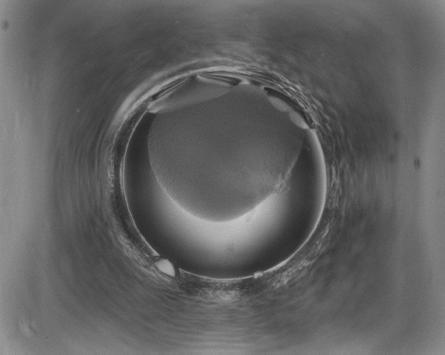 X0000086220247200703291219