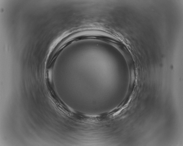 X0000086220248200703291219