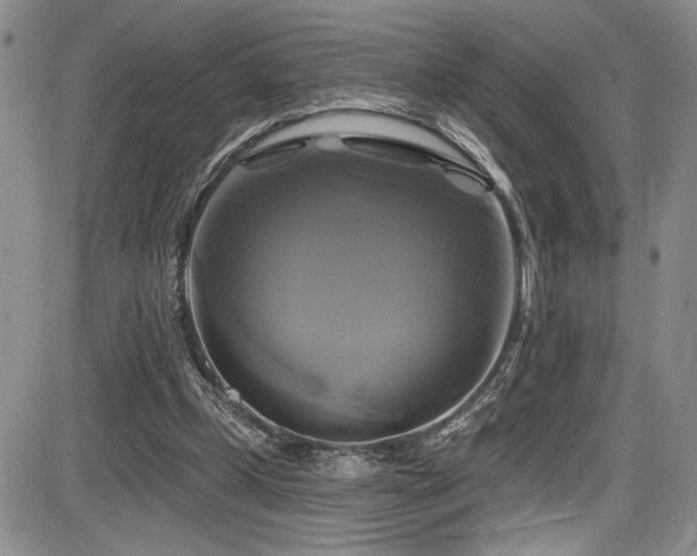X0000086220249200703291219