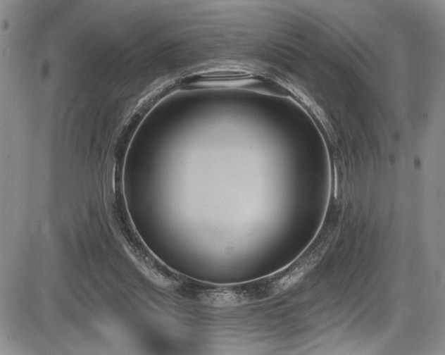 X0000086220253200703291219