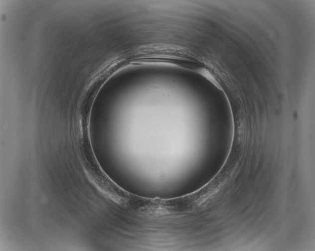 X0000086220254200703291219