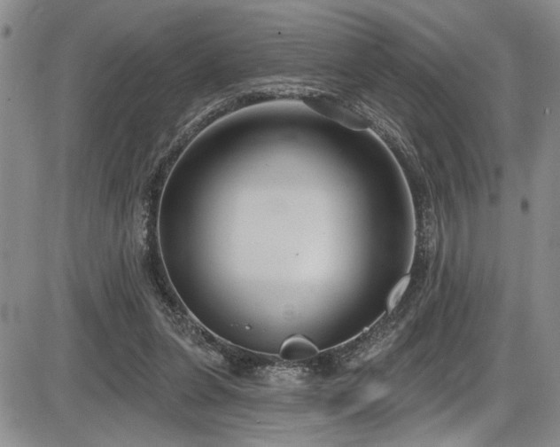 X0000086220255200703291219