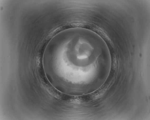 X0000086220259200703291219