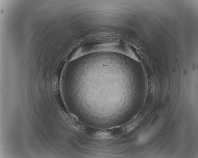 X0000086220283200703291220
