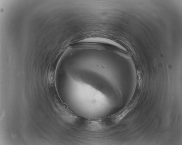 X0000086220285200703291220