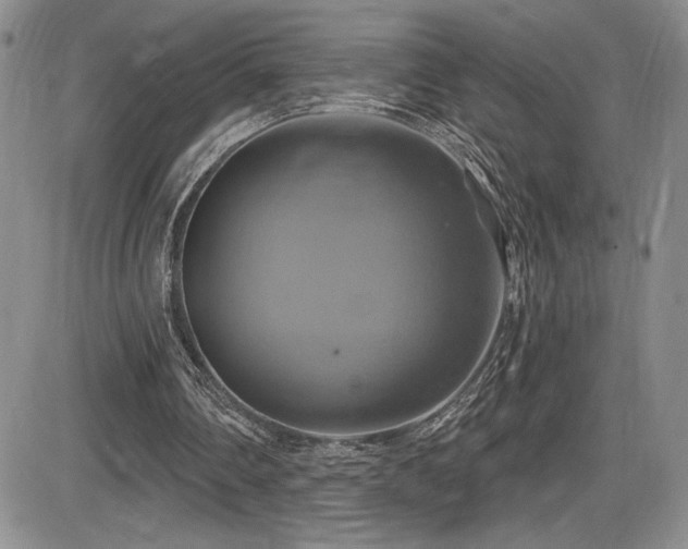 X0000086220290200703291219