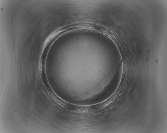 X0000086220294200703291219